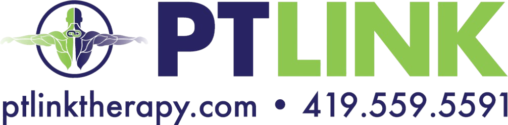 PT Link logo